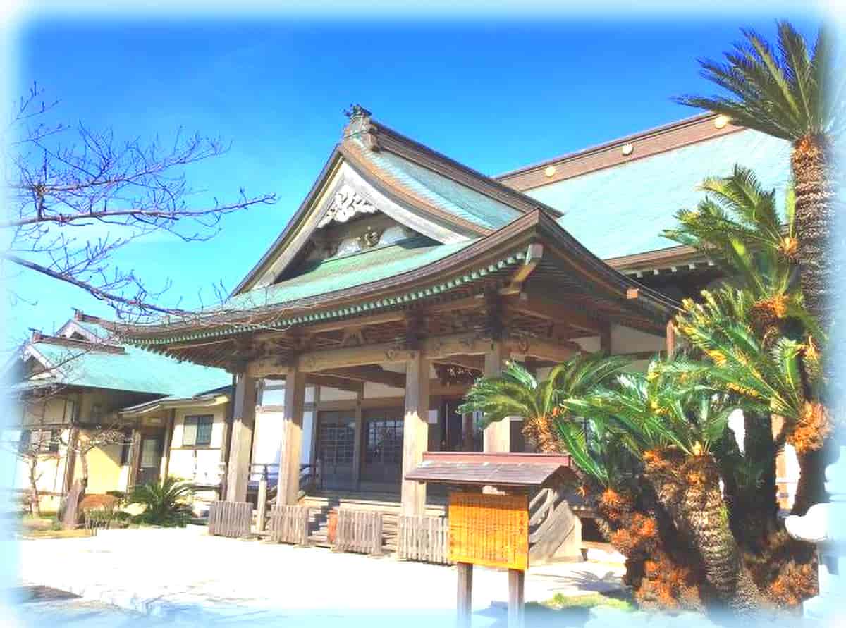 光明寺 鎌倉最大級の山門を構える浄土宗大本山 - 鎌倉市観光協会時を楽しむ、旅がある。～鎌倉観光公式ガイド～