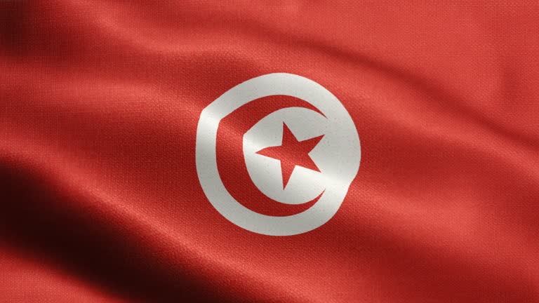 背景が透明なチュニジア国旗イラスト ベクターイラスト画像とPNGフリー素材透過の無料ダウンロード - Pngtree