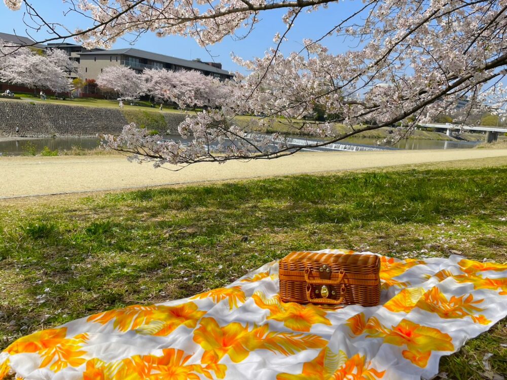 左京区 下鴨神社 散策＆鴨川ピクニック 10月19日 日- 京都市福祉ボランティアセンタ