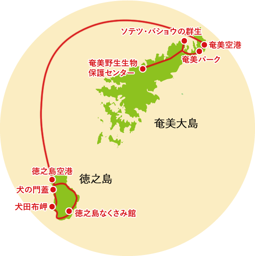 奄美大島ってどんなところ？これだけは押さえておこう！奄美観光の基本情報あまみと