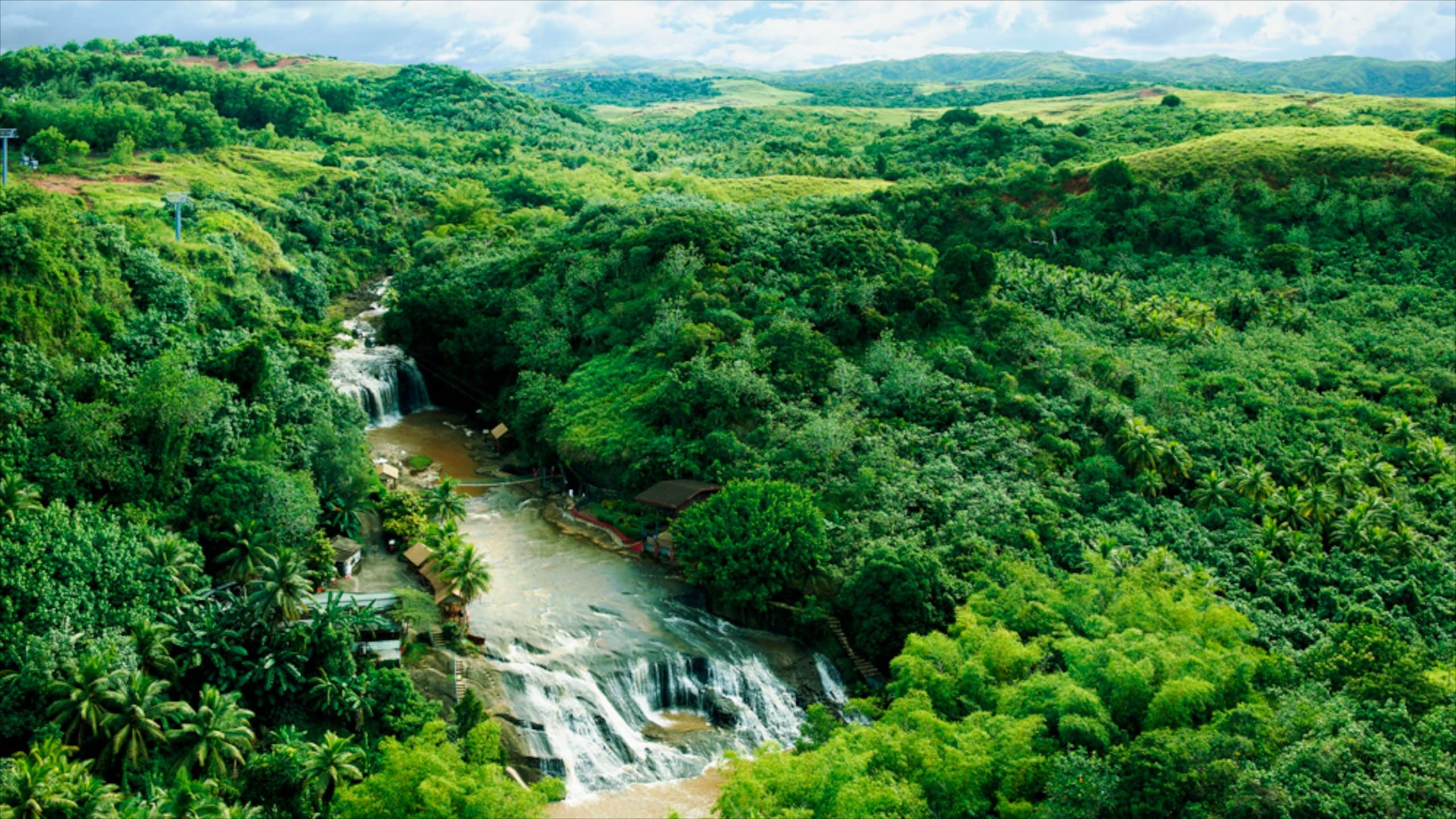 ブルックリン Blooklyn 観光ガイド！7つの見どころをNY在住者が解説ロコタビ