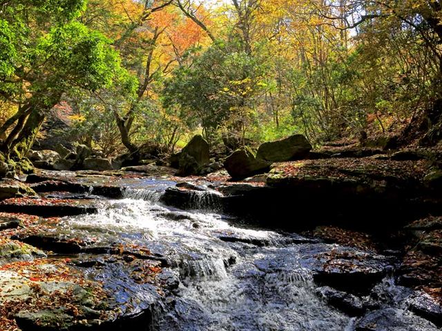 マゼノ渓谷 駐車場274 無料写真