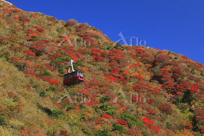 長崎県 雲仙市 仁田峠の紅葉と雲仙ロープウェイ124520978 の写真素材 - アフロ