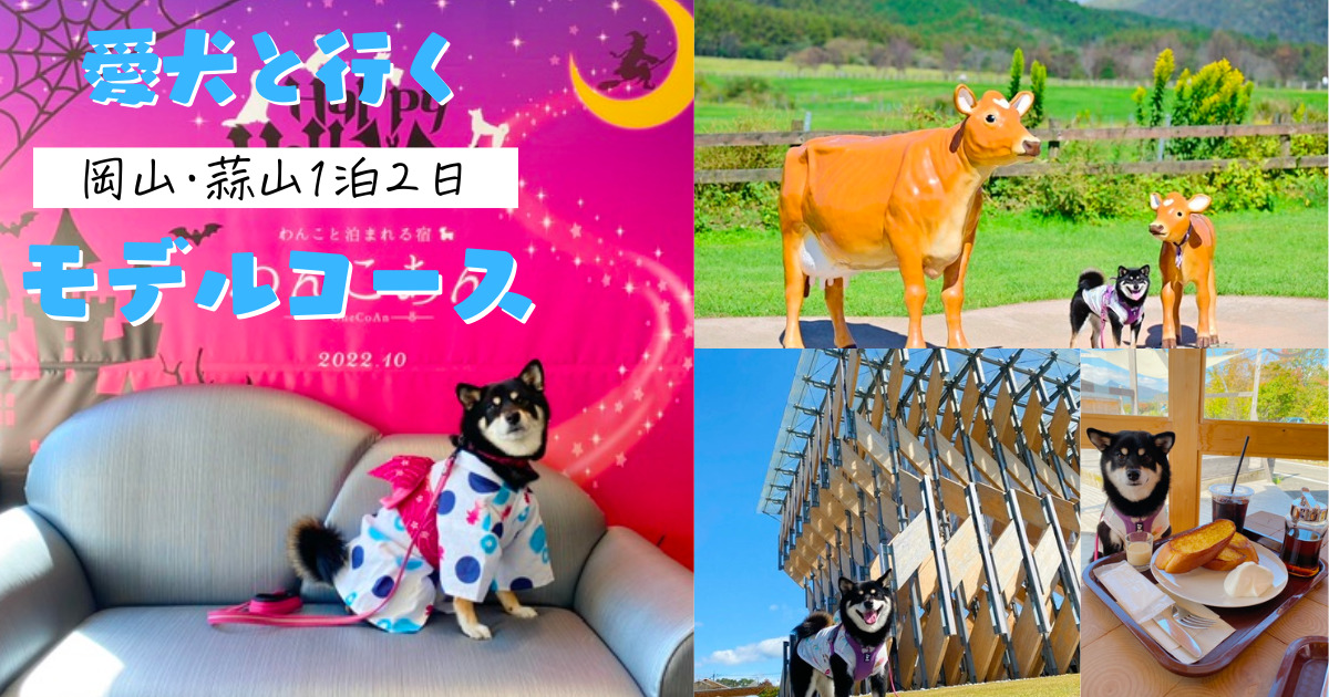 岡山で犬と一緒に楽しめる散歩スポット2025 年のリアルなLemon8ユーザー体験