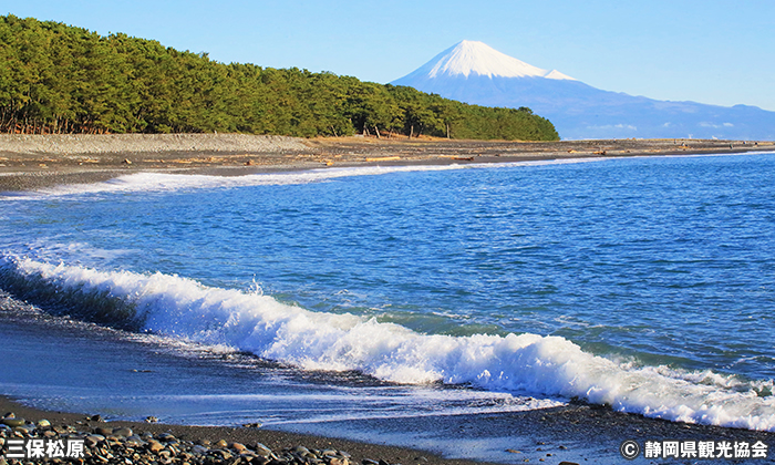 静岡でおすすめのドライブスポット9選！夜デートにぴったりな場所も掲載aumo アウモ