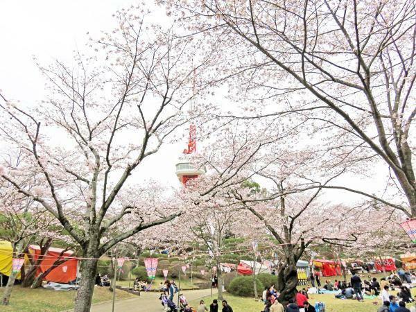 八幡山公園 遊具や駐車場を徹底紹介・ゴーカートが本格的で楽しい！水遊びやお花見も宇都宮市 - とちぎびより