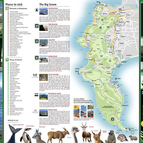 ケープタウンで滞在するには、ここが良いよ② ケープタウンの市街地編 南アフリカにいるSUZUKIです