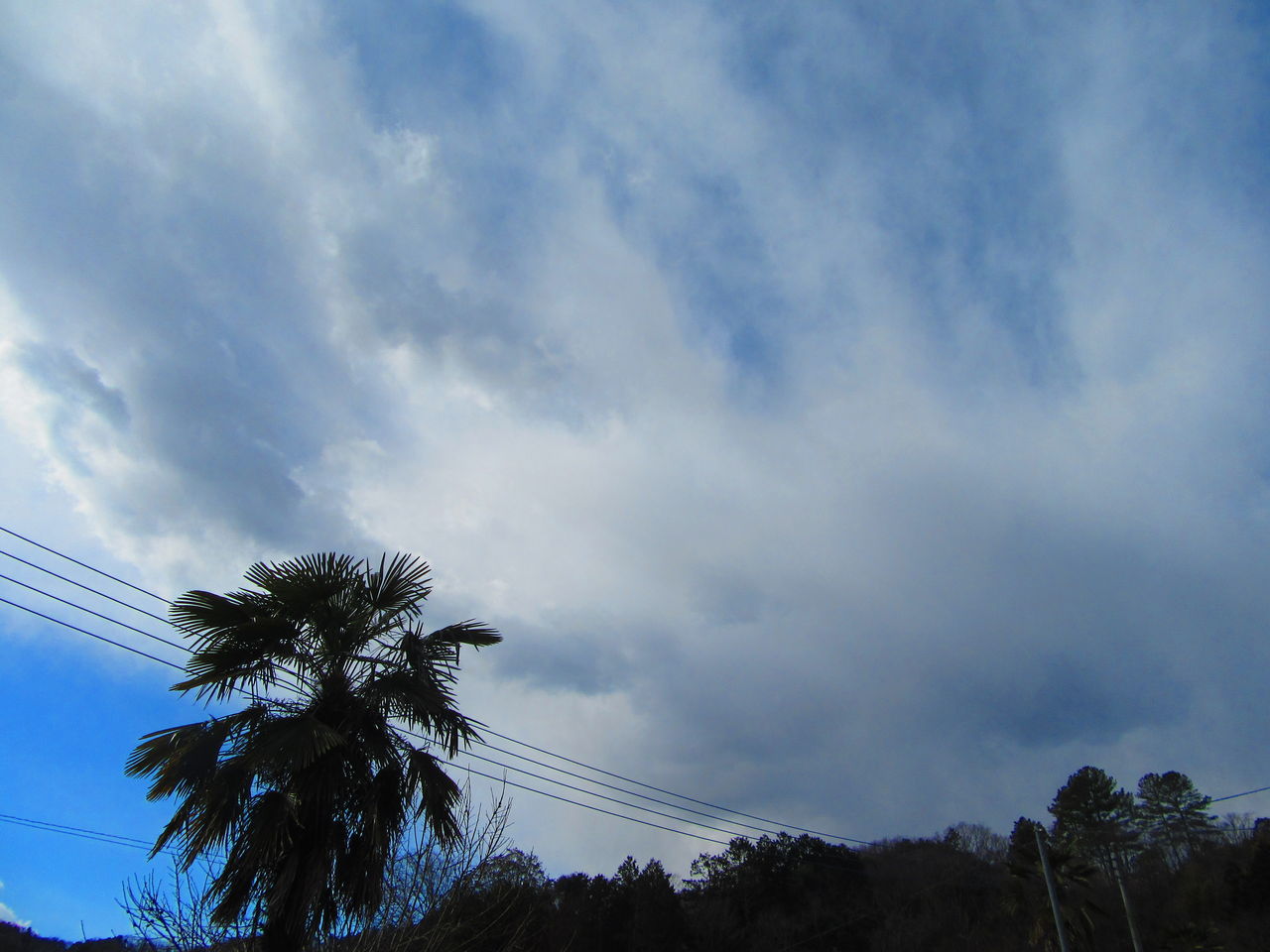 温泉玉子湯 たまご湯 福島の秘湯 高湯温泉 旅館 公式サイト玉子湯 たまご湯 福島の秘湯 高湯温泉 旅館 公式サイト