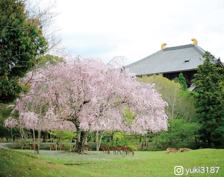 ウォーキング ジョギンングに最適 - 倉橋ため池ふれあい公園のクチコミ - じゃらんnet