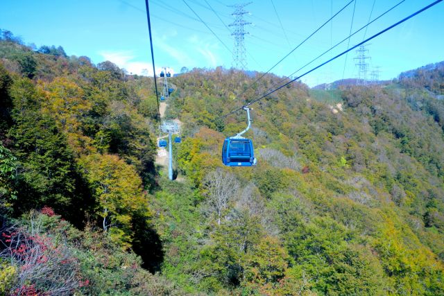 新潟で紅葉巡り清津峡とドラゴンドラへみんなの旅プラン 旅色 旅行プランは旅色で