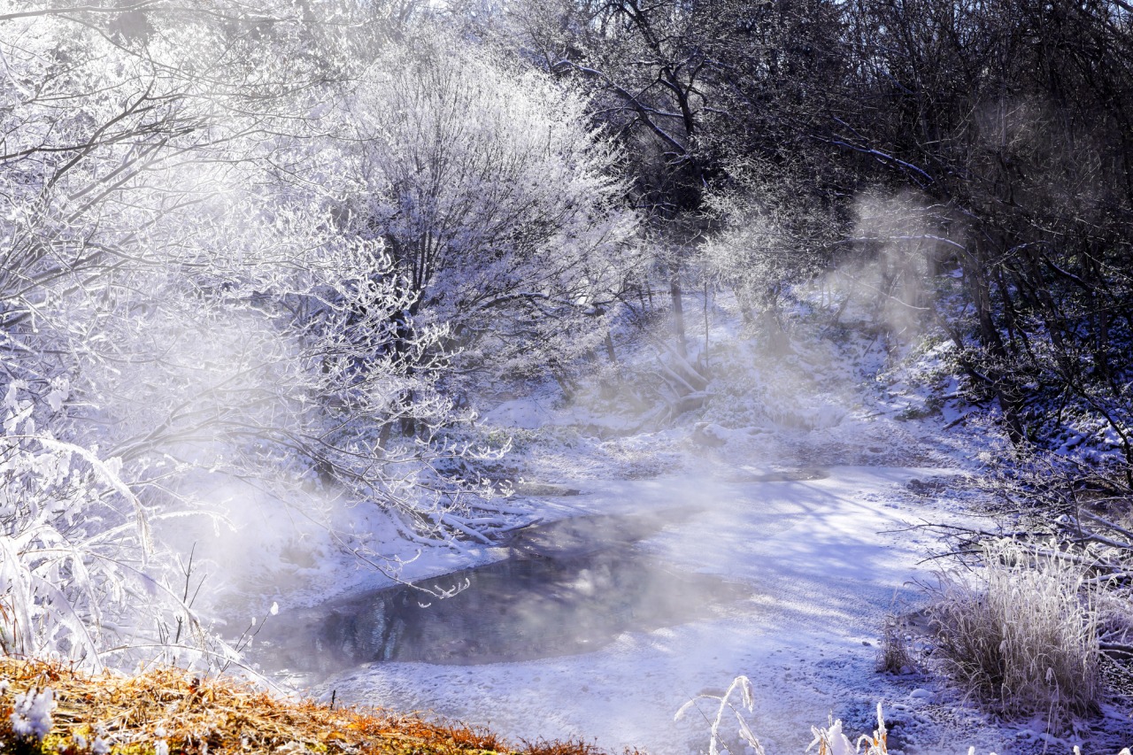 阿寒湖畔エコミュージアムセンタ