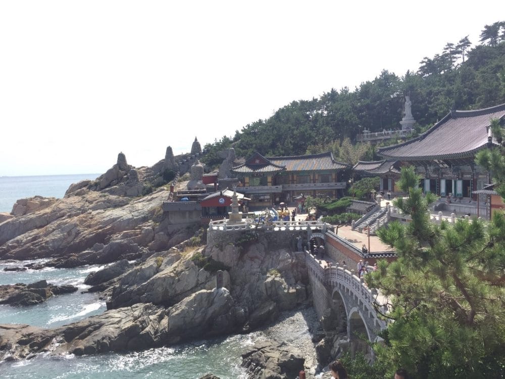海雲台🇰🇷 海東龍宮寺 願いごとが叶う☺️海が見渡せるお寺Trip.com 釜山