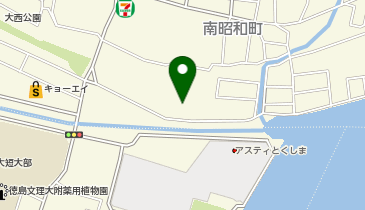 徳島中央公園 鷲の門＆堀川ライトアップLEDバレイ徳島