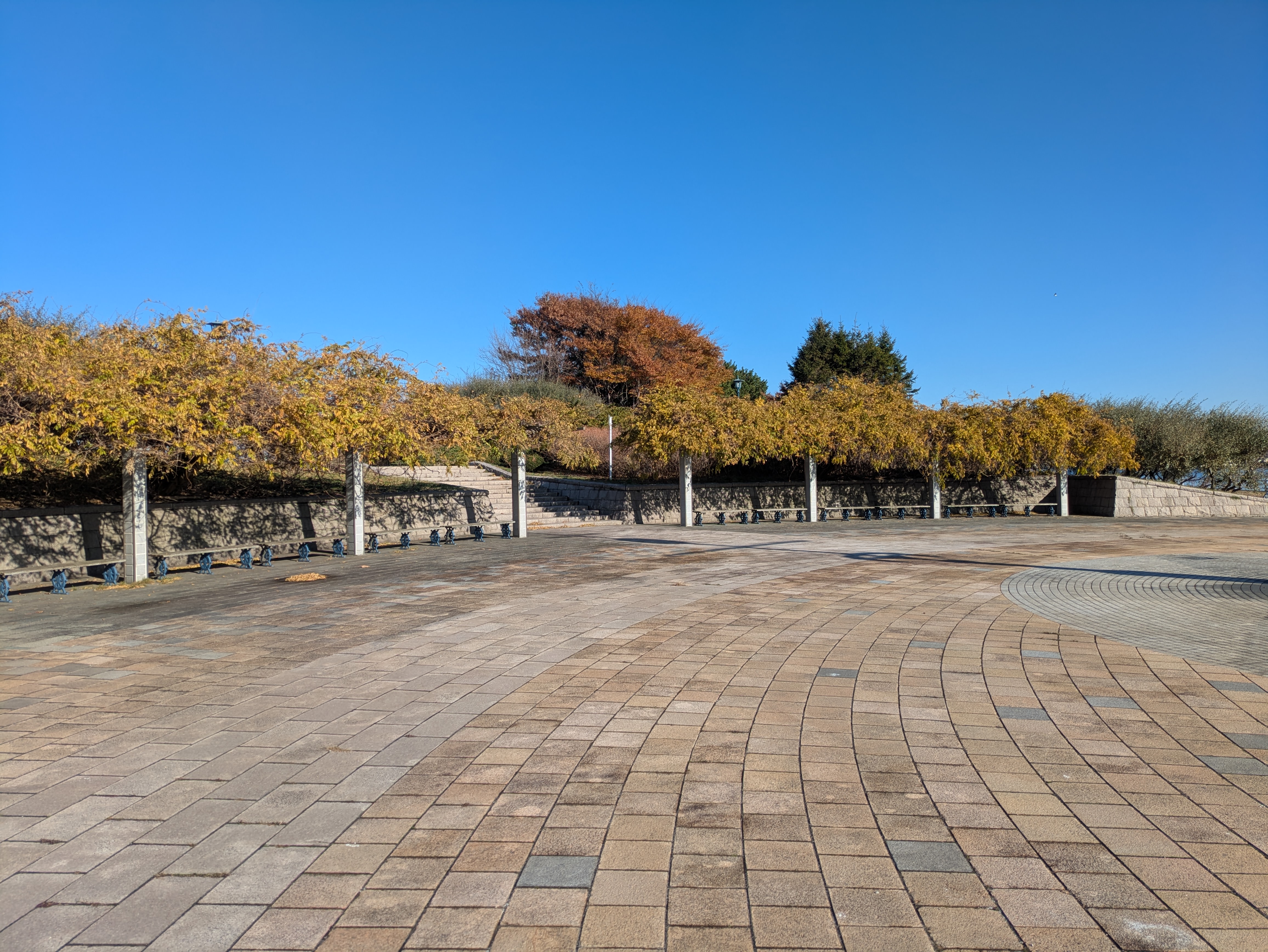 緑の島 クチコミ・アクセス・営業時間函館 フォートラベル