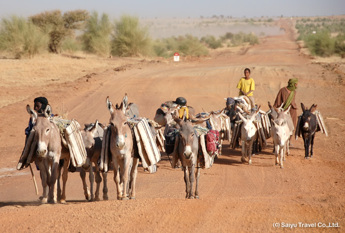 第45回 伝説の都市トンブクトゥ マリ もう行けない！？サハラに輝く黄金郷 - 行きたくなる世界遺産！ - LISTEN