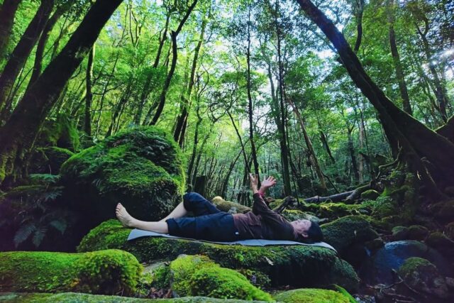 屋久島、白谷雲水峡🌳🌳, ジブリ映画、もののけ姫の舞台となった場所です✨,宮崎駿監督はこの白谷雲水峡に何度も足を運びもののけ姫の世界観を作り込んだと言われています🦌,世界自然遺産の屋久島は大自然の島で標高九州1位の宮之浦岳 1936m があります⛰️そして日本一のウミガメ産卵地 いなか浜 があるのも屋久島です🐢屋久島は1か月に35日雨が降ると言われるほど雨の日が多い島でもあります。僕が行った時