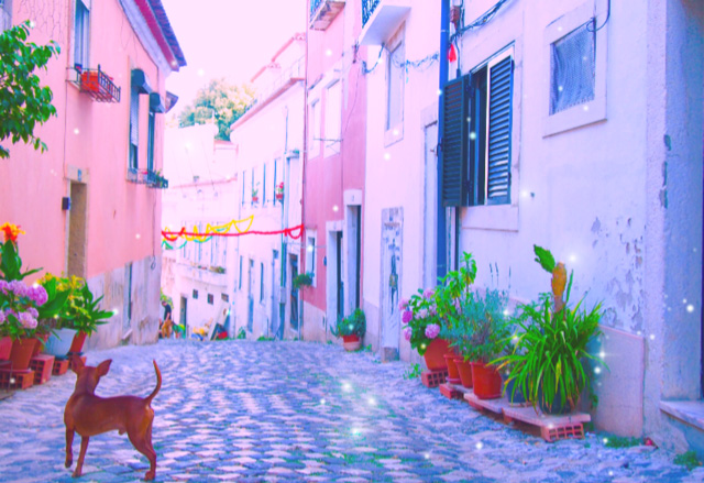 クチコミから選ぶ！カラフルでかわいい街並み フォートラベル