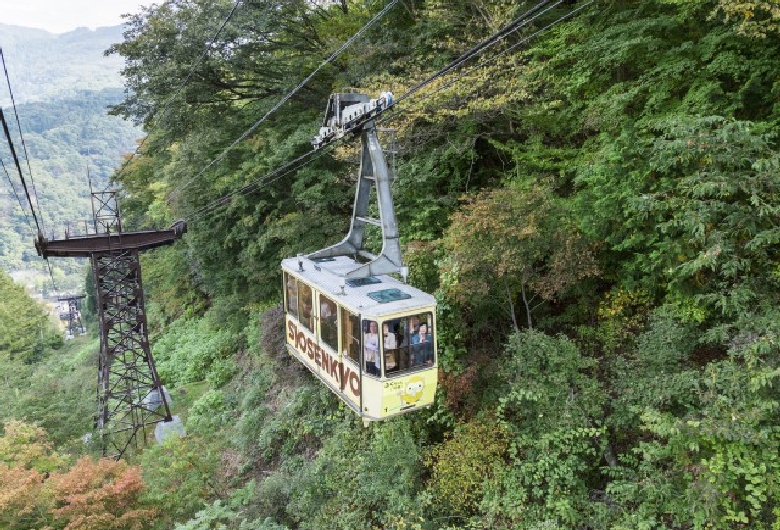 2025年 冬を彩る夜景・イルミネーションスポット甲府 旅の特集甲府観光ナビ - 甲府市観光協会公式サイト