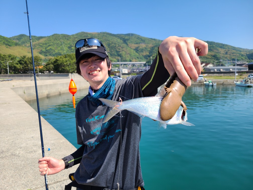 天草の海紹介_富岡海水浴場 - YouTube