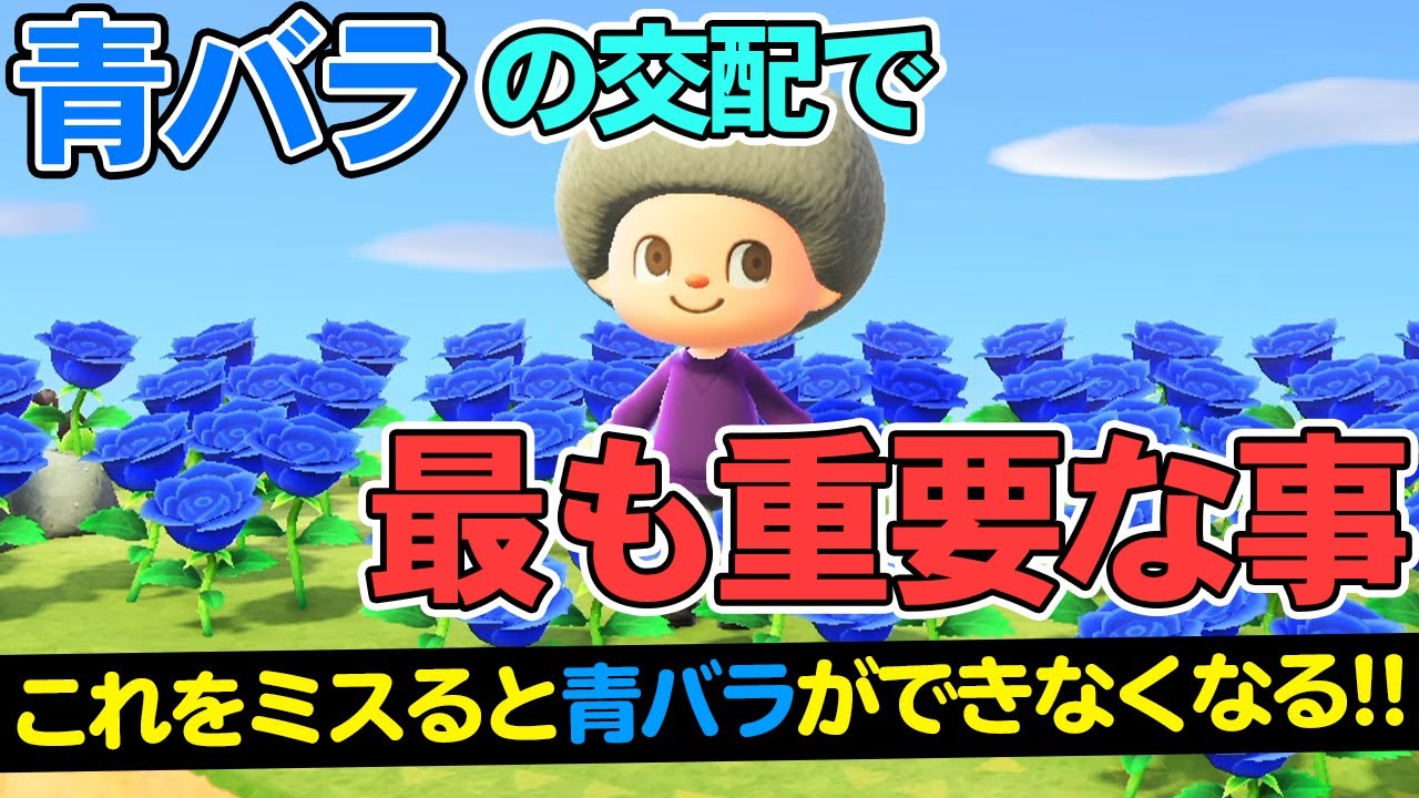 あつまれどうぶつの森 花の繁殖システム 遺伝子操作 についてhyperTsブログ