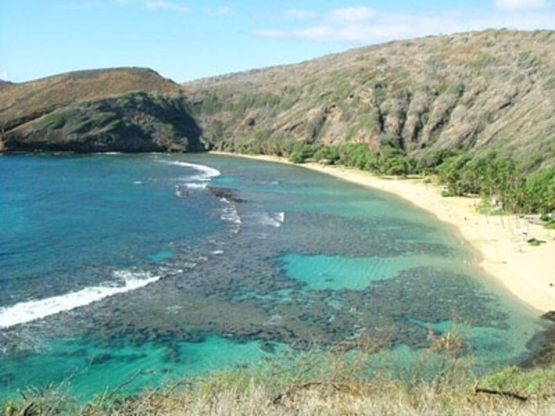 バスで行けるシュノーケリング・スポット「ハナウマ湾」のご紹介ハワイ先生