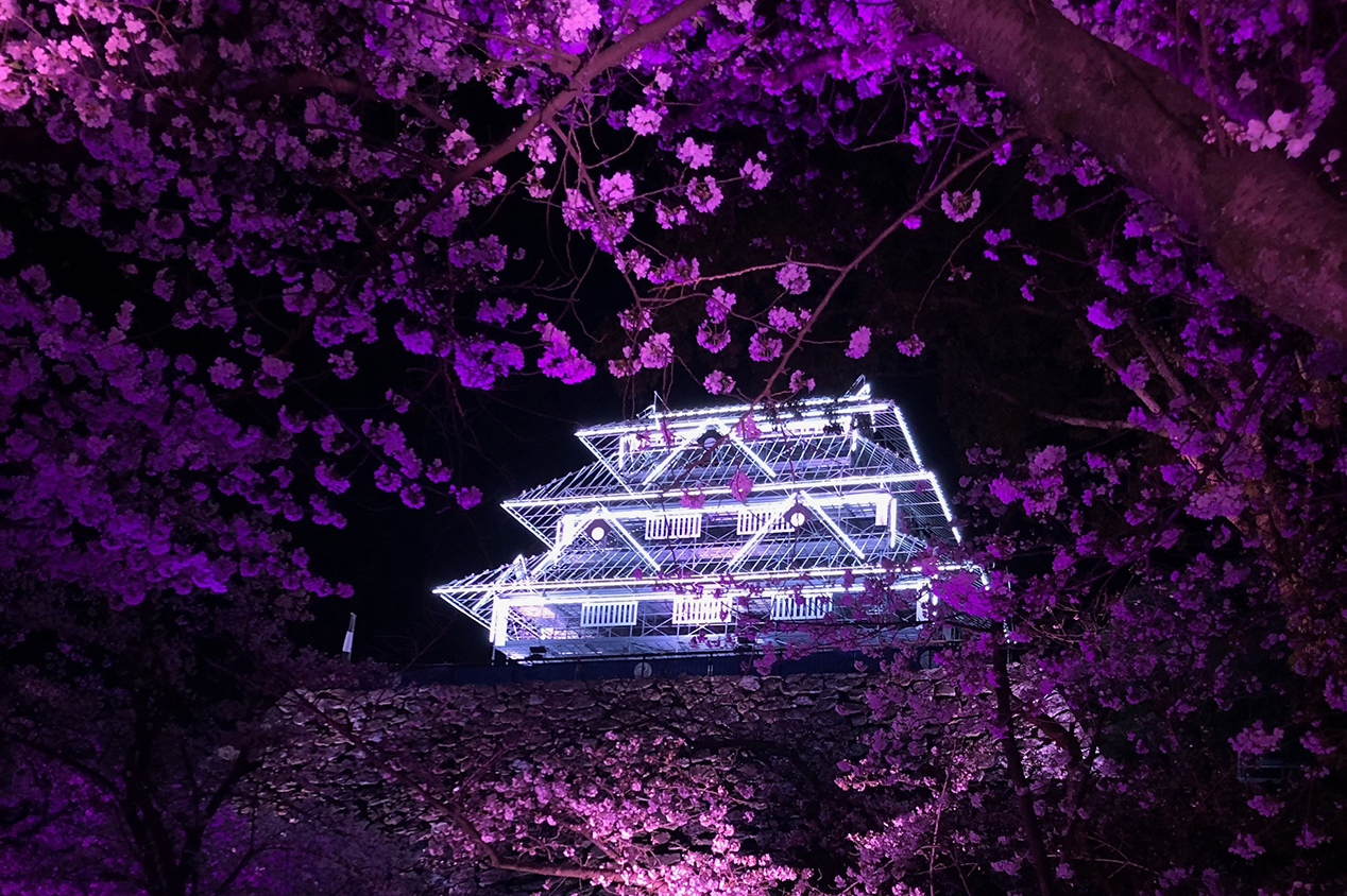 太宰府 竈門神社「七夕祭り～祈りのともしび～」 8 1～7