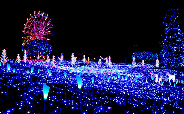 マザー牧場イルミネーション2017-2018 キラキラファーム 〜まきばの星の物語〜」が好評のうちに終了 - イルミラボ