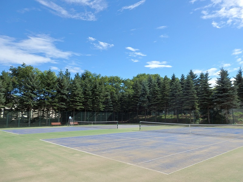 クチコミ : 練馬区立夏の雲公園庭球場 - 練馬区光が丘 テニスコートYahoo!マップ