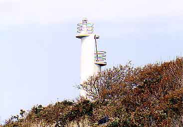 鵜ノ尾岬の釣り場情報魚速報