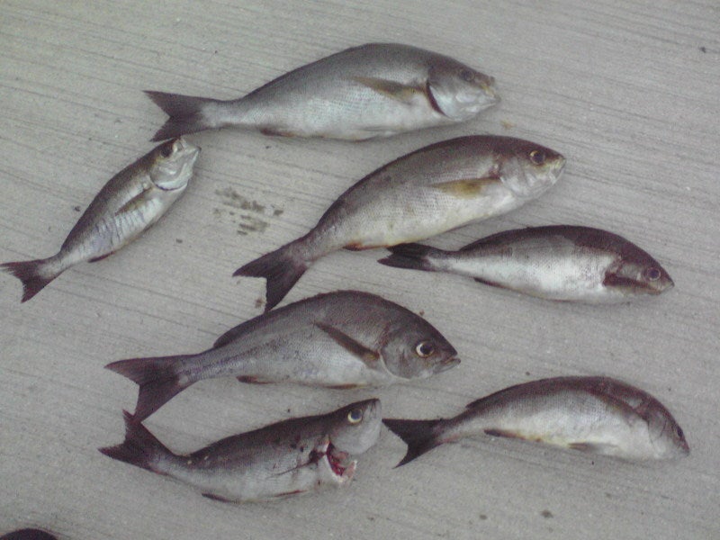 小呂島へ夜釣りへ : 海の中道マリーナ