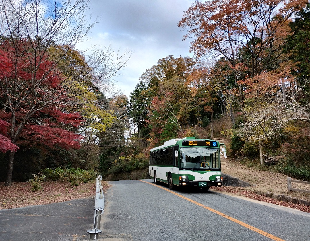 再度公園の紅葉 兵庫県紅葉名所2025