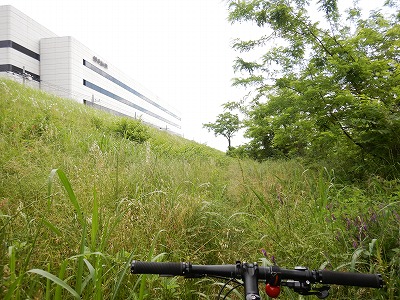 🎆 松戸花火大会 交通規制のお知らせ 🎆 8月2日 土 は、松戸花火大会の開催に伴い、周辺道路で交通規制が行われます。⁠安全・スムーズな運営のため、ご理解とご協力をお願いいたします 🕒 規制時間 ⁠ ・松戸側：17:00〜21:30⁠・三郷側：18:00〜21:00⁠ ※居住者等