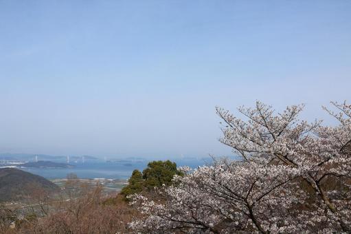 五色台の夜景 香川県坂出市