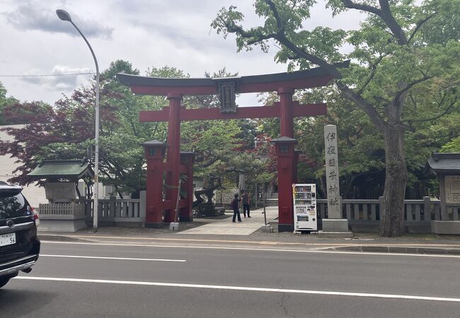 札幌弥彦神社 - 北海道神宮結婚式 神社結婚式 札幌 フォトウェディング和婚屋HIRO