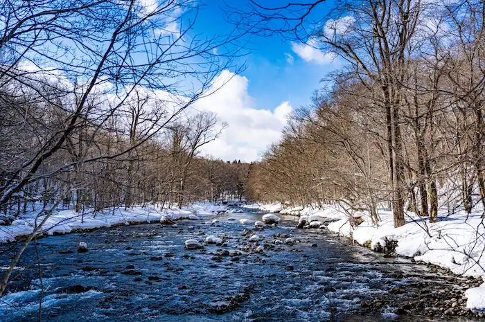 ドームテント30 ペット不可・4名用- PARK DAIKANYAMAなっぷキャンプ場検索・予約サイト なっぷ