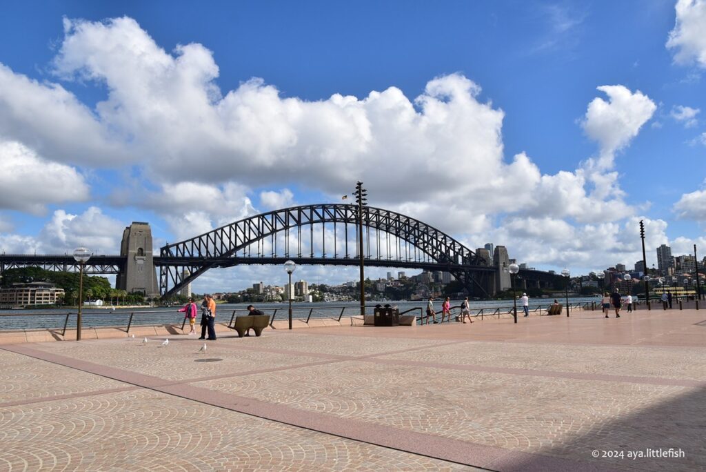 ハーバーブリッジ 登るシドニー 旅行の観光・オプショナルツアー予約 VELTRA ベルトラ
