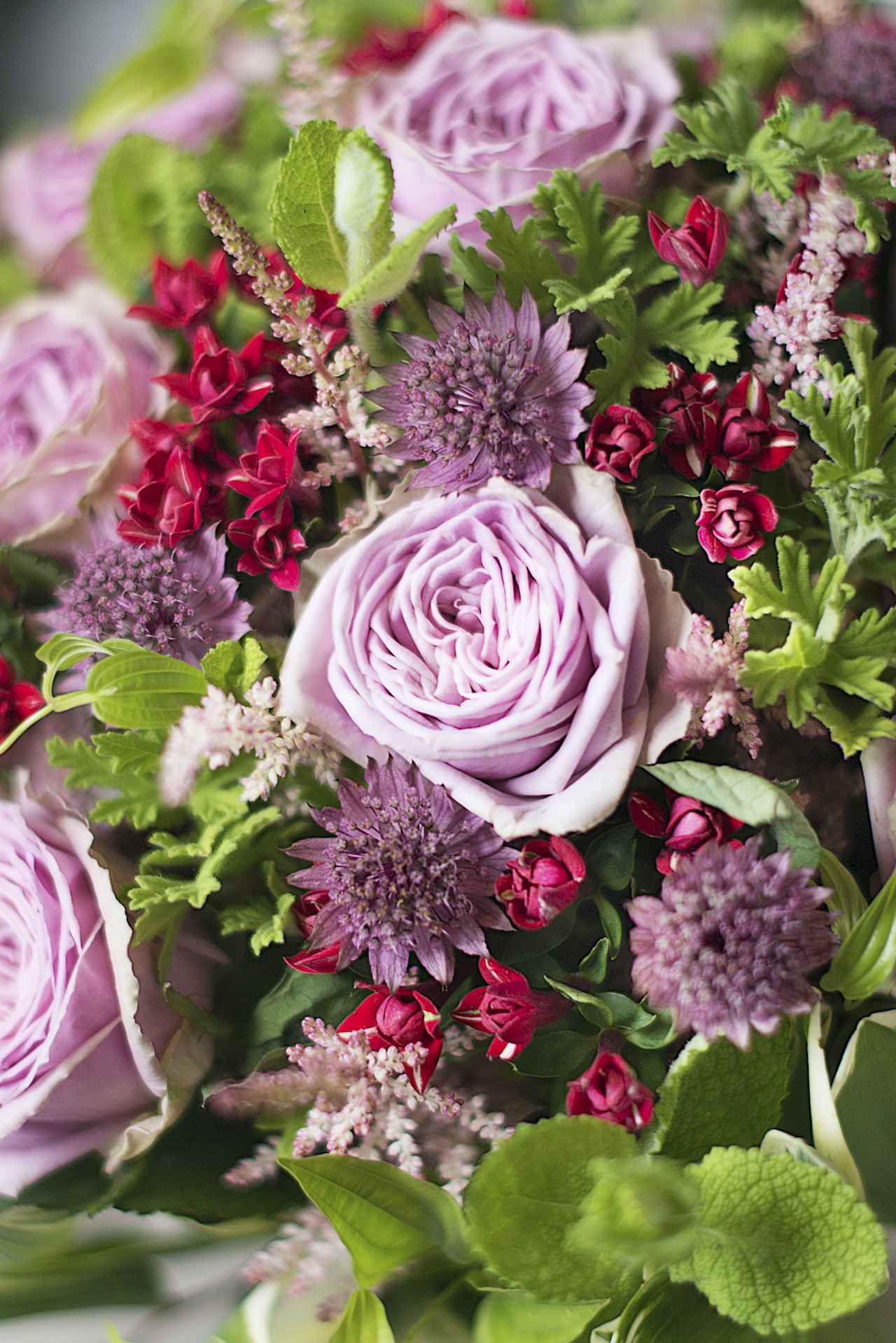 箱根 観光 雨 ニコライ・バーグマン箱根ガーデンズノムカフェ 強羅 コーヒーキャンプ ゆとわ