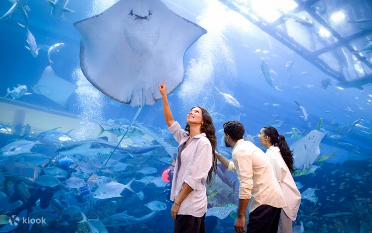 ギネス認定 世界最大規模のドバイモール！世界最大の水槽・世界一高いビル・噴水ショーなど見どころ満載。│世界地図の99％を私たち家族はまだ知らない