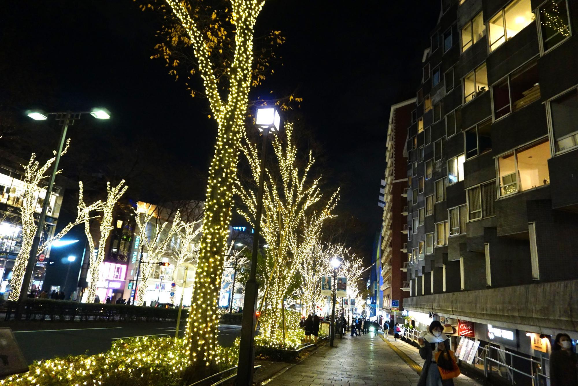 原宿～表参道クリスマス見納めイルミネーション点描 東京都渋谷区Luna Subito- エキスパート - Yahoo!ニュース