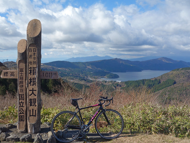 椿ライン～芦ノ湖 : 晴れ 時々 マーケティング