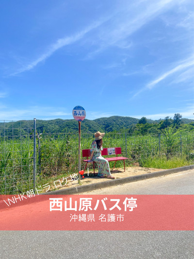 朝ドラ『ちむどんどん』撮影地の今帰仁村ってどんなところ？ 魅力や見所を一挙案内BOSHITABI