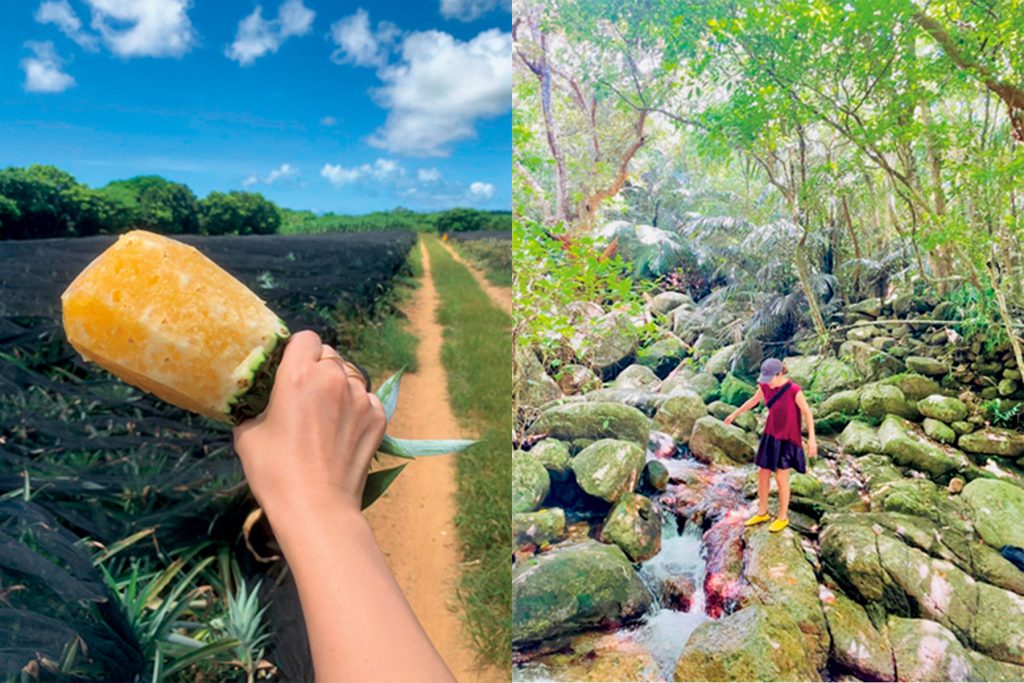 8月の国内旅行おすすめお盆や夏休みにおすすめの全国の観光地12選＆花火やお祭りで夏を満喫海外旅行、日本国内旅行のおすすめ情報ベルトラYOKKAVELTRA