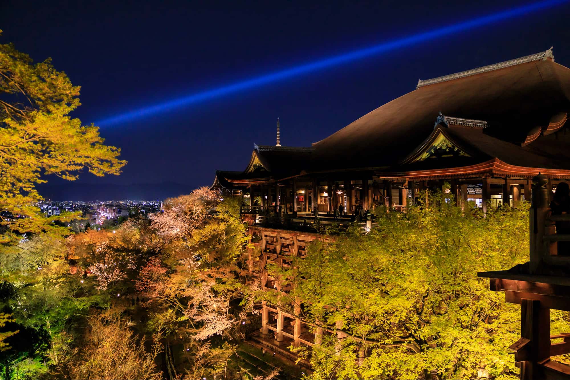 京都・清水寺「夏の夜間ライトアップ」と「千日詣り」見どころレポート - BonVoyage 京都