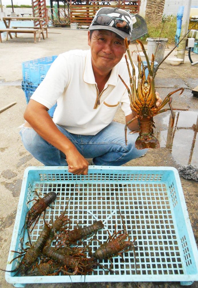 三重県波切港 志摩の釣り 伊勢海老釣り 12匹 爆釣 - 海釣 ｶｲﾁｮｳ 倶楽部
