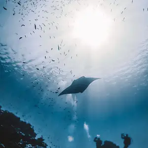 石垣島 クラブメッドカビラ ビーチでのマリンアクティビティ体験解説OTTO BLOG