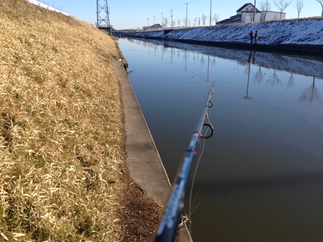 バス釣り 『見えバス』がウジャウジャ居る水路でサイトフィッシングしたら驚愕だった。この動画を見れば、あなたは見えバスが釣れるようになります