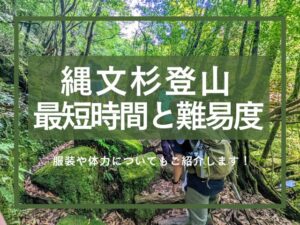 縄文杉リタイアを解決！ガイド体験談からリスクと対策を解説します