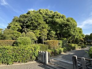 インドネシアのバタムアイランドへYoung Age Vol.23