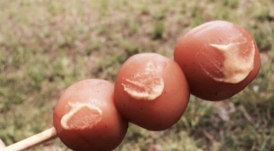 鶴岡市いこいの村庄内 んめもの庄内*￣ ｴ ￣* ｖ