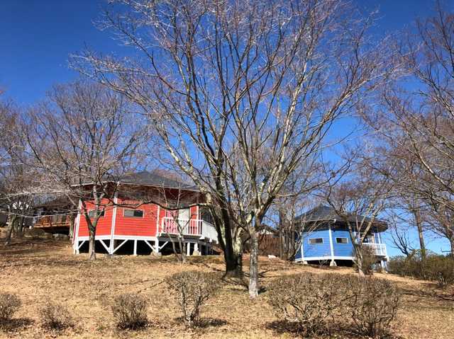 🌲森の中のサウナ フォレストピア七里の森 🌲 ご好評につき 毎日稼働中‼︎ 料金：お一人 1,000円薪1セット＋シャワー無料 水風呂完備アロマは6種類ご用意 ゼラニウム・ローズ・ラベンダー・ジャスミン・サンダルウッド・ローズ 入り方自由！ 水着でも服のまま